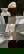 item-210016804=1