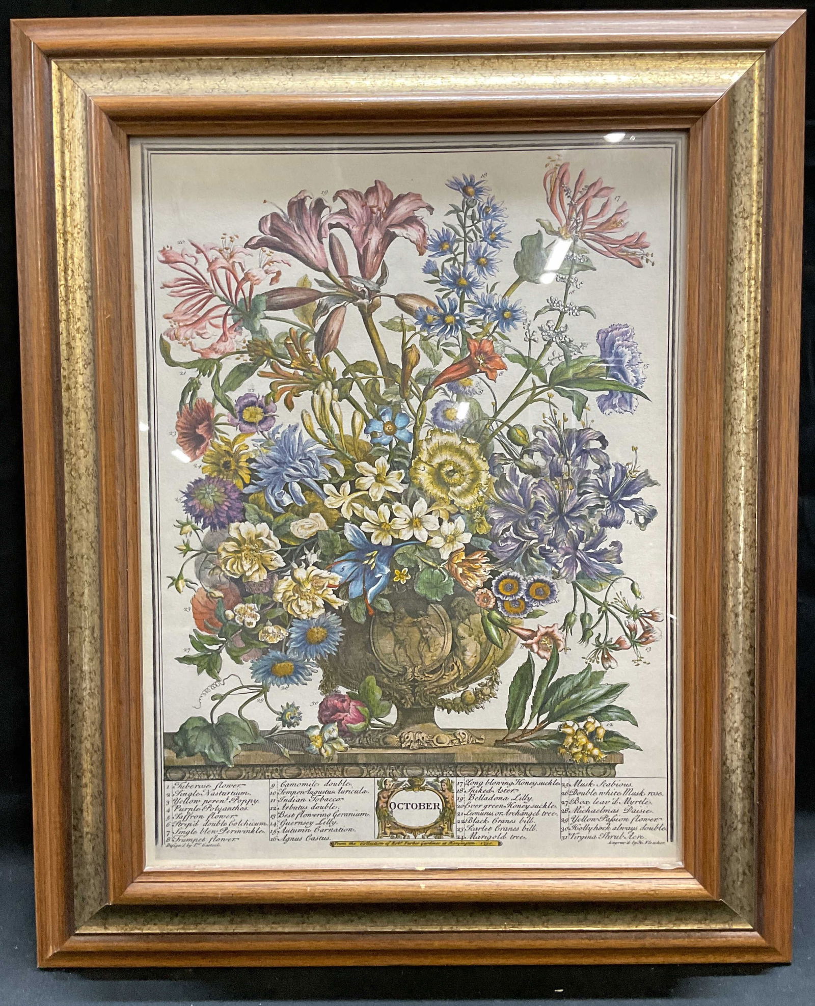 Framed Fletcher October 12 Months of Flowers Print (1 of 6)