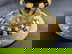 item-210225909=4