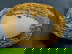 item-210497834=7