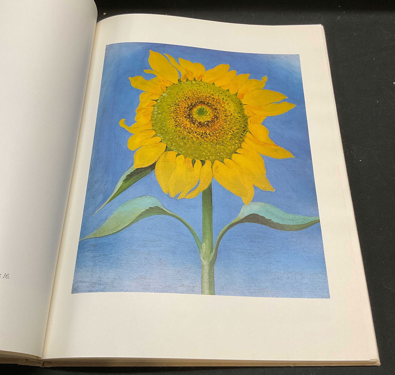 Georgia O Keeffe, Illustrated Book, 1976 Viking (1 of 8)