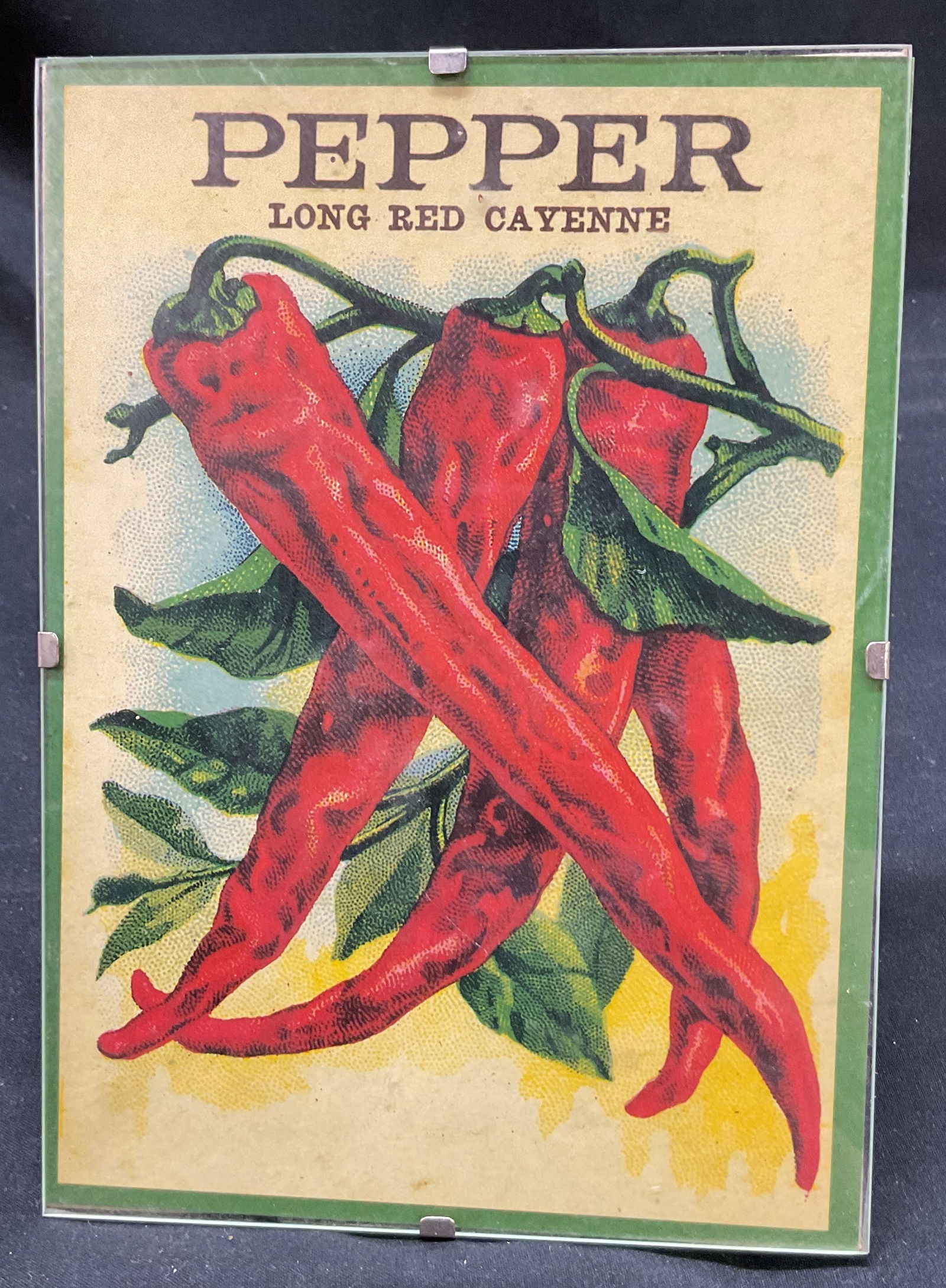 Vtg Smith & Thompson Pepper Glass Photo Frame (1 of 6)