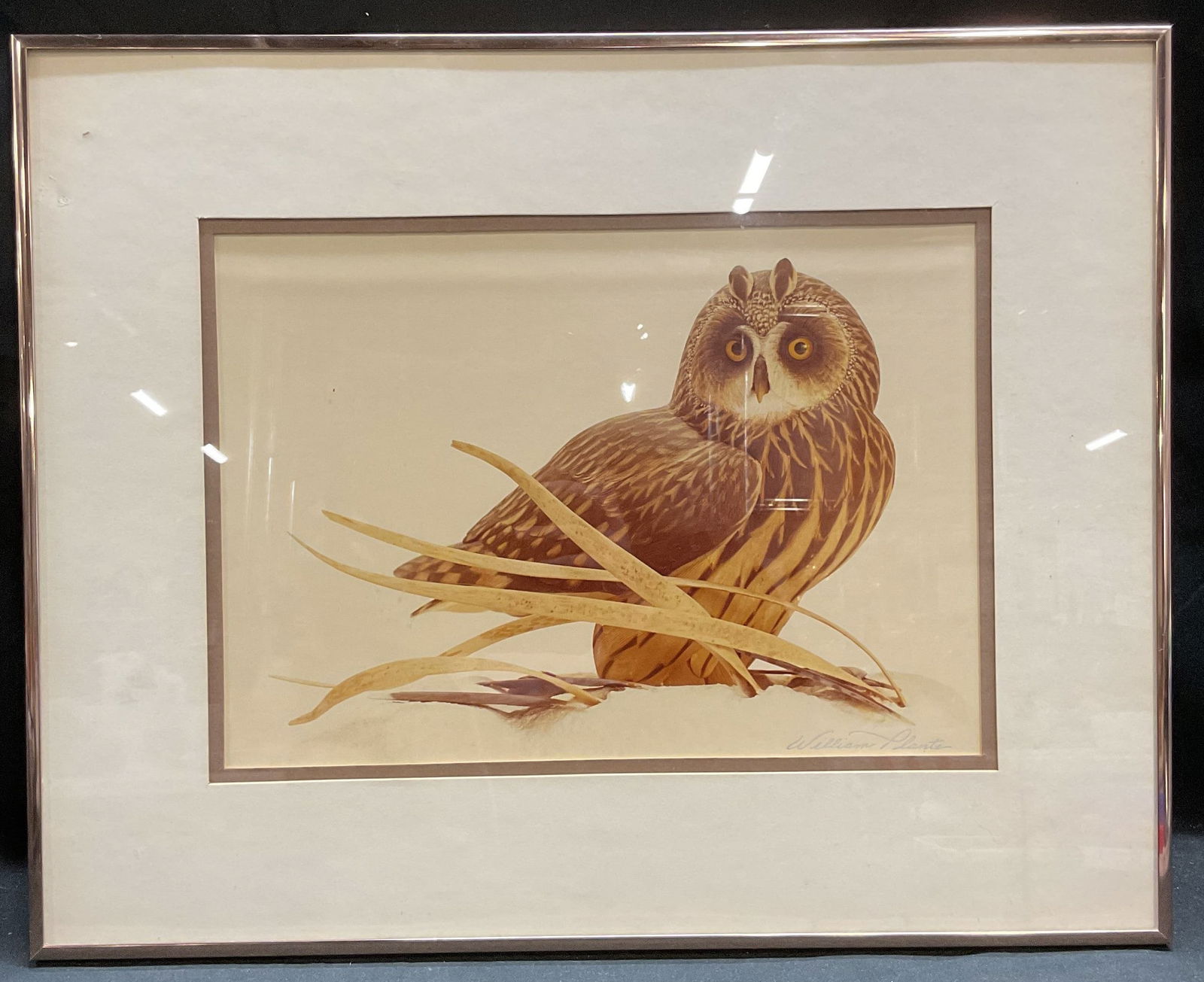 Signed William Plante Short Eared Owl Print (1 of 7)