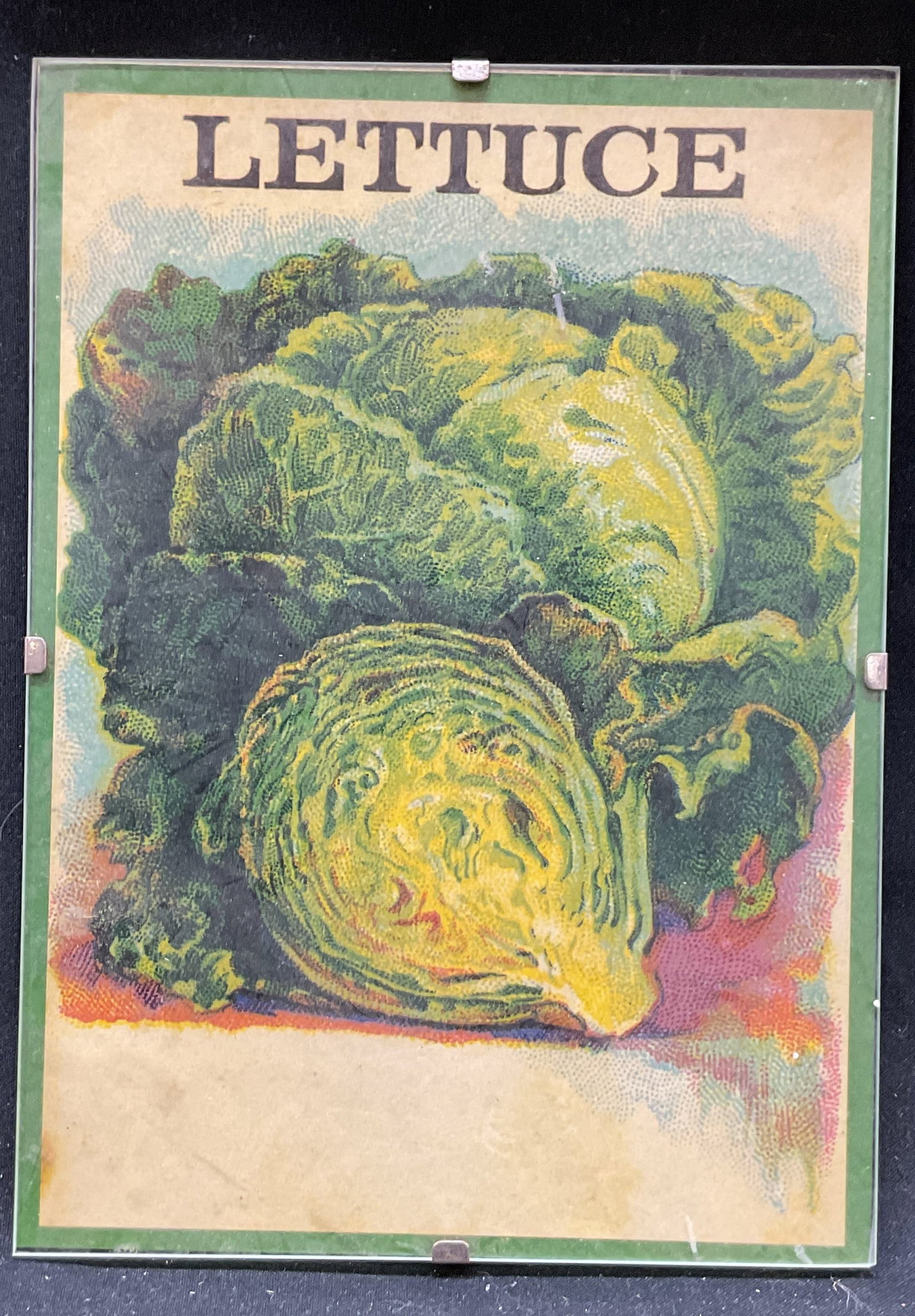 Vtg Smith & Thompson Lettuce glass photo frame: Vintage Smith & Thompson Lettuce glass photo frame. See packet or artwork featuring LETTUCE. Metal clasps, cardboard backing. 5 x 7 inches. Some surface wear consistent with exposure. Smith & Thompson
