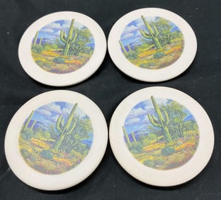 Set 4 Sandstone Rustic Coaster Cactus Desert