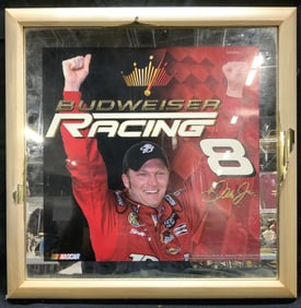 Dale Earnhardt Jr Framed NASCAR Poster Mirror