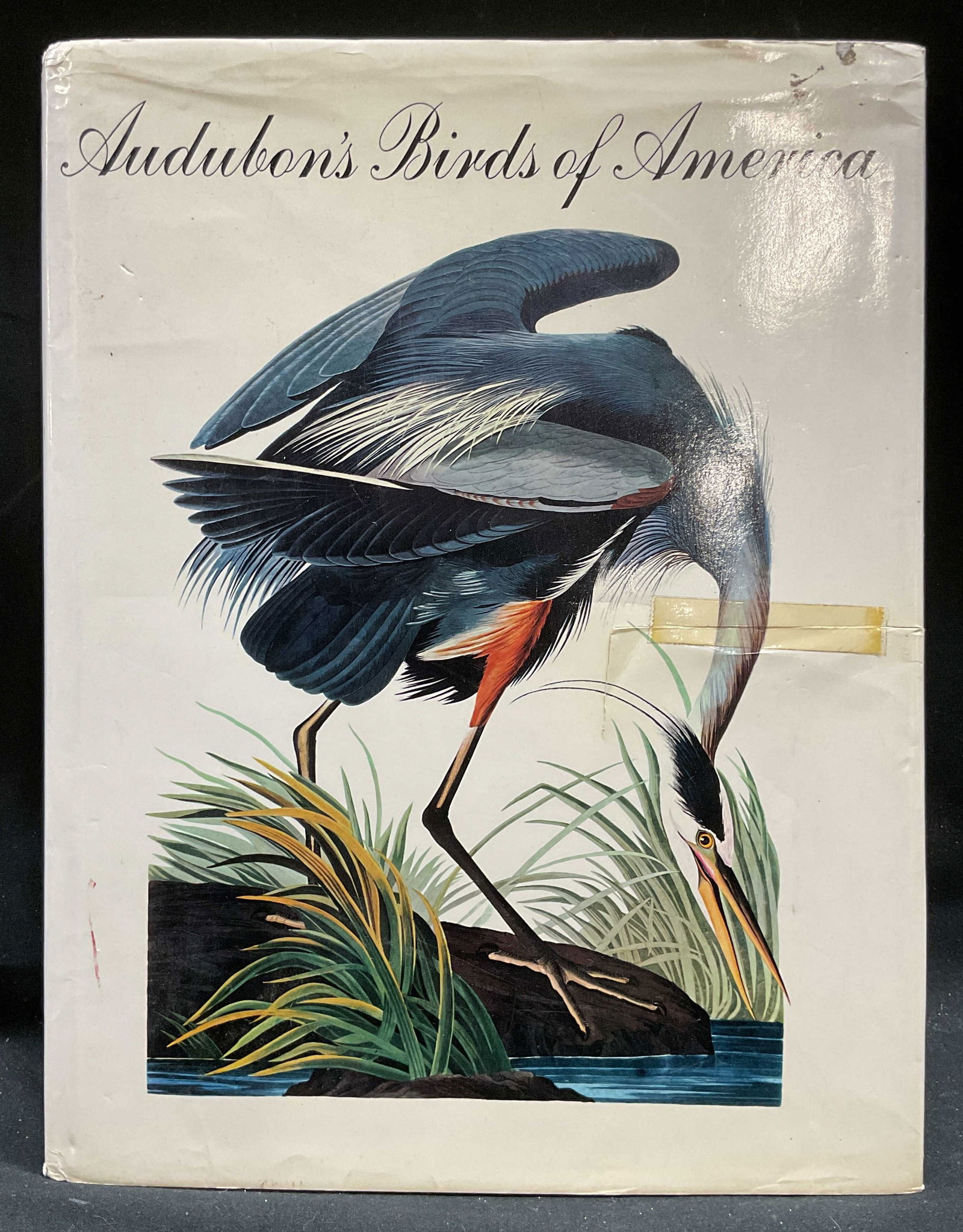 Audubon Birds of America Illustr Book 1979 (1 of 7)