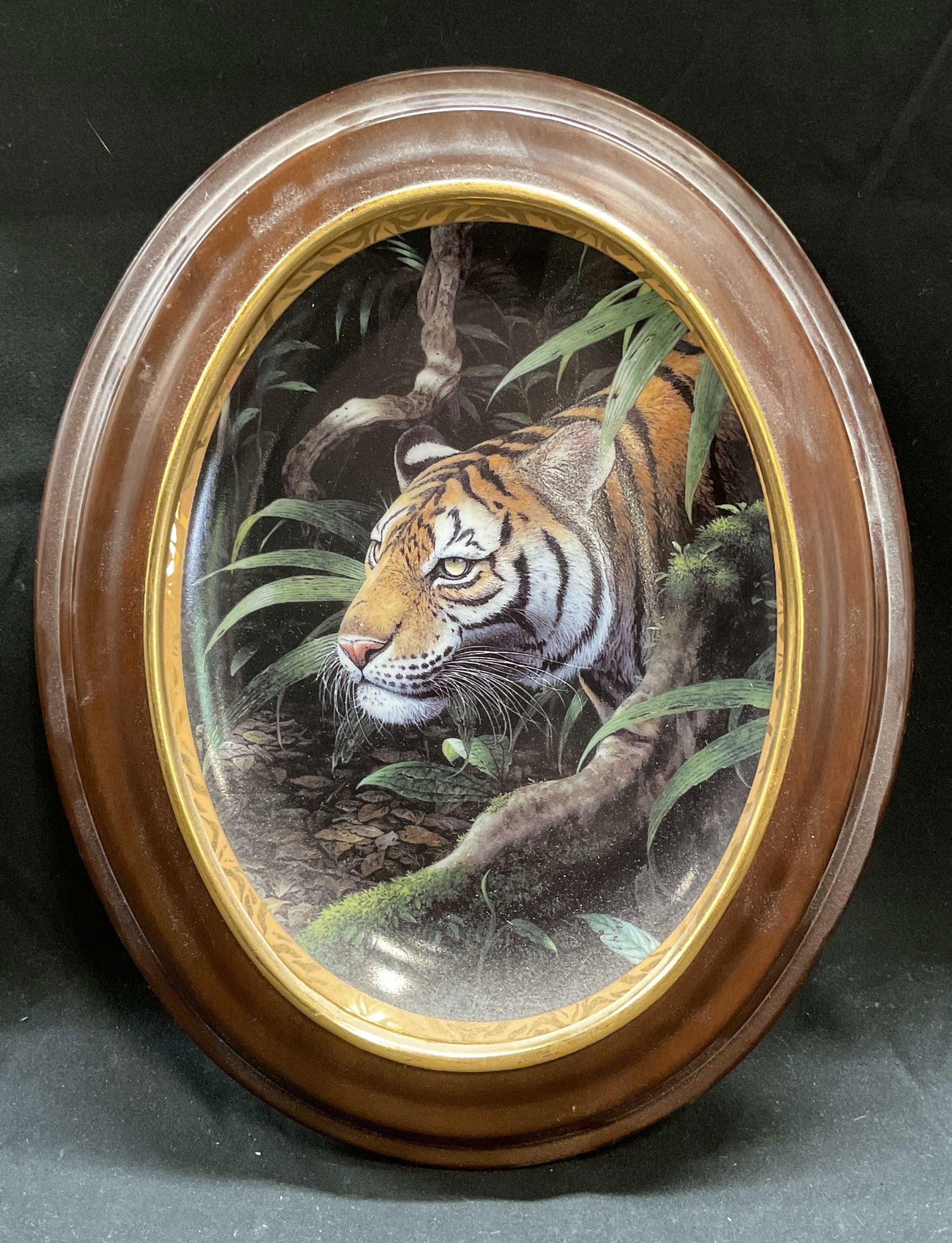 Bradford Our of Shadows Tiger Framed Plate (1 of 6)