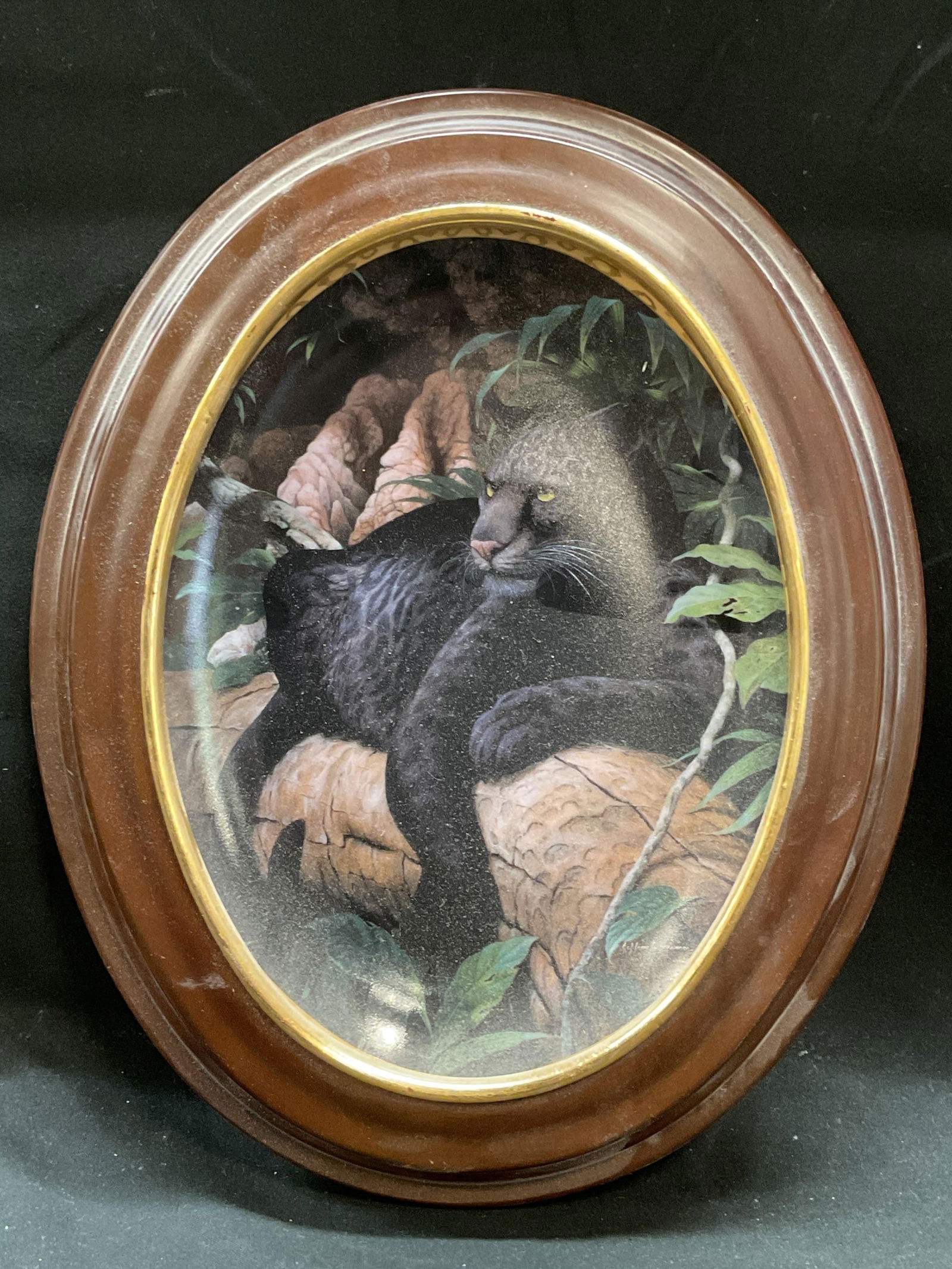 Bradford Majesty Black Jaguar Framed Porc Plate (1 of 6)