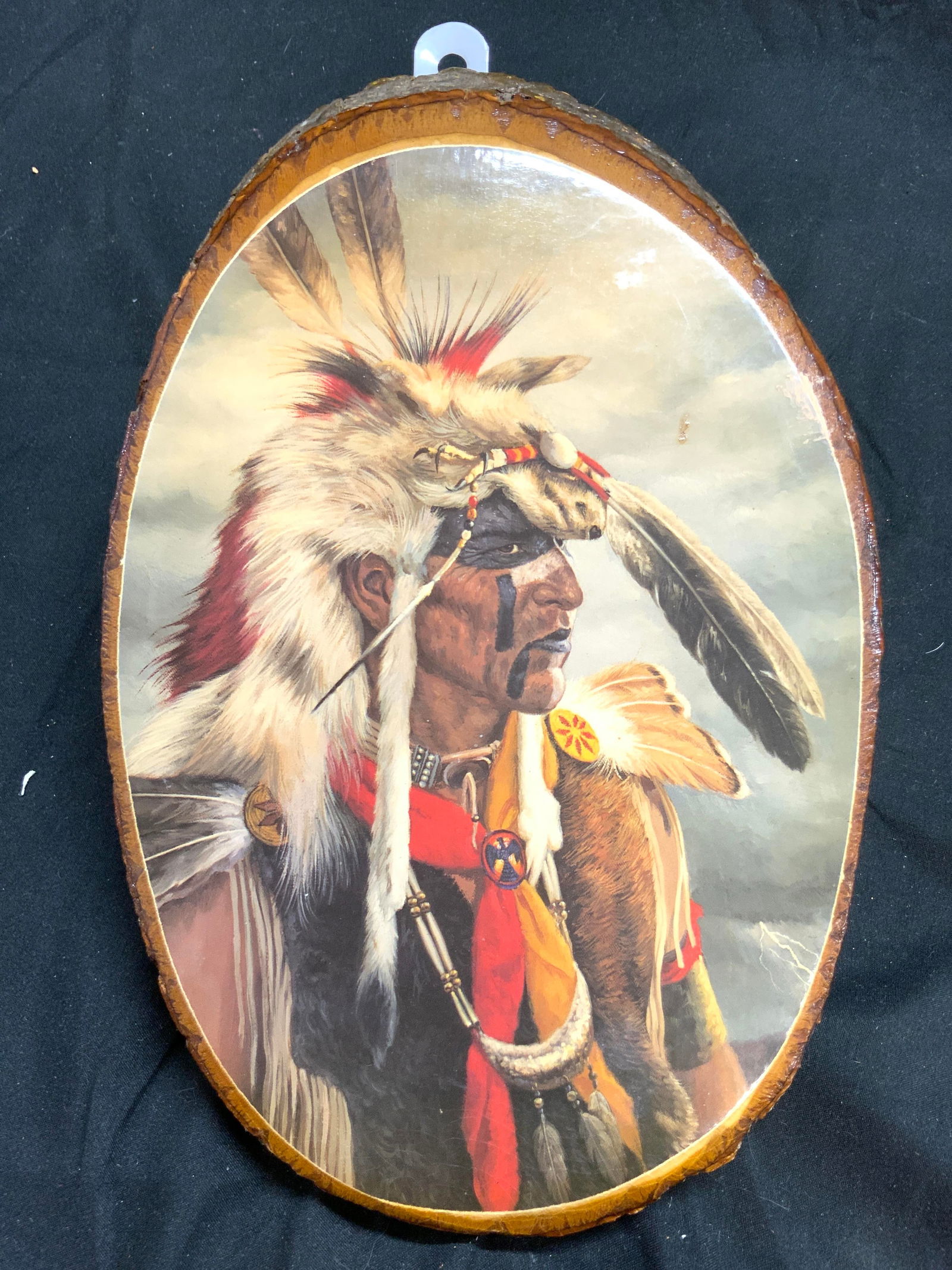 DELAWARE WATER GAP Native American On Tree Slab: Backside reads DELAWARE WATER GAP. Tree slab depicts a male Native American Figure with head dress and face painted. Tree slab has oval form. Piece measures approximately 10.5 inches tall 7 inches wid