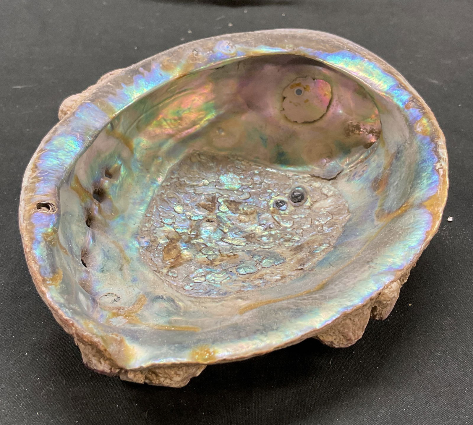 Vtg Mother of Pearl Abalone Shell Decor (1 of 6)