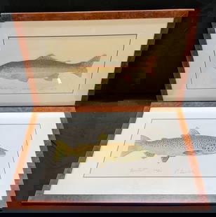 Lot 2 Framed Signed Trout Fish Color Etchings: Lot of 2 framed and matted limited edition etchings. Signed by artist at lower right, illegible, dated 1991 and 1992. Rainbow Trout and Brown Trout. Edition numbered 141/200. Hand colored etchings. Wo