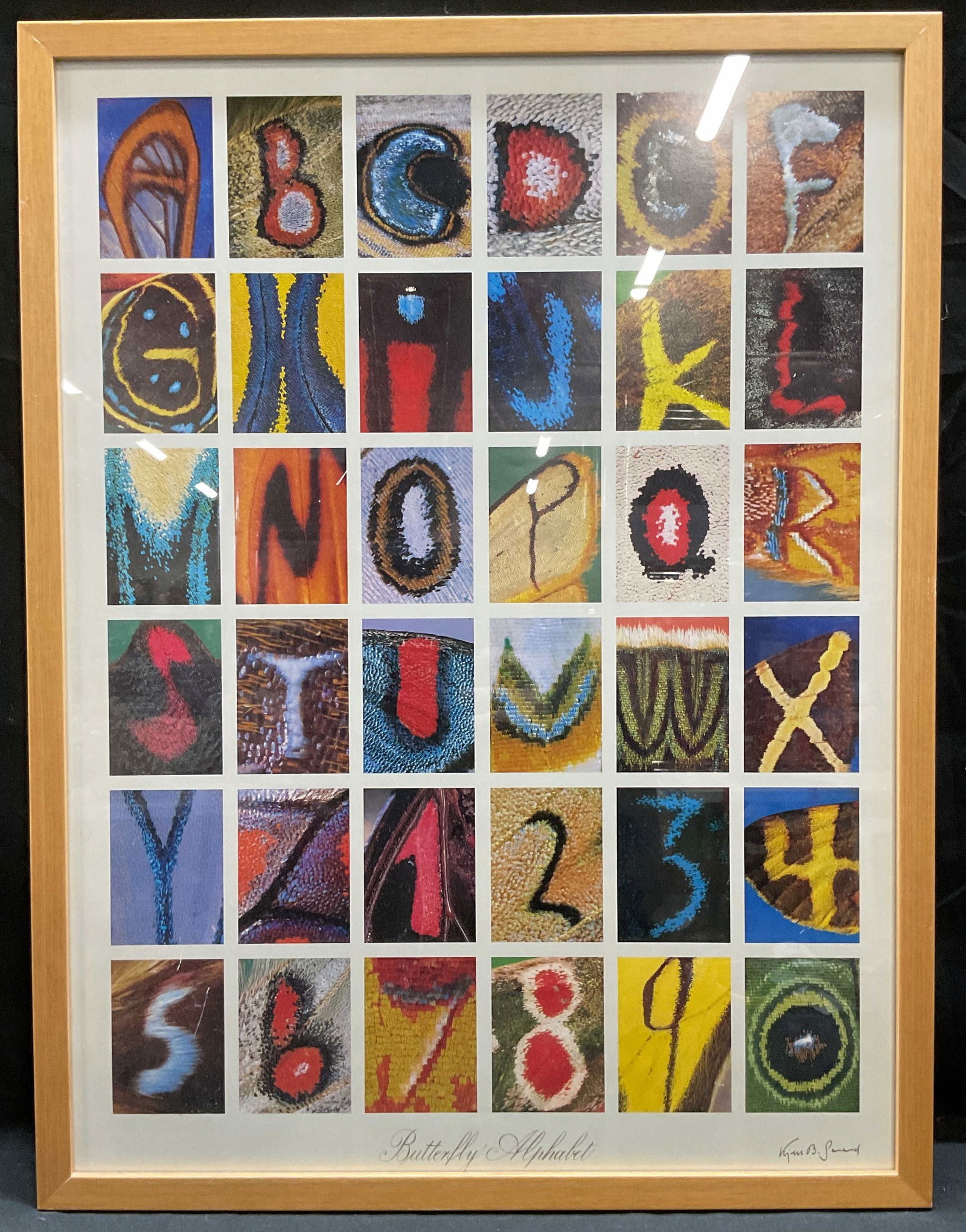 Framed Kjell B Sandved Butterfly Alphabet Print (1 of 7)