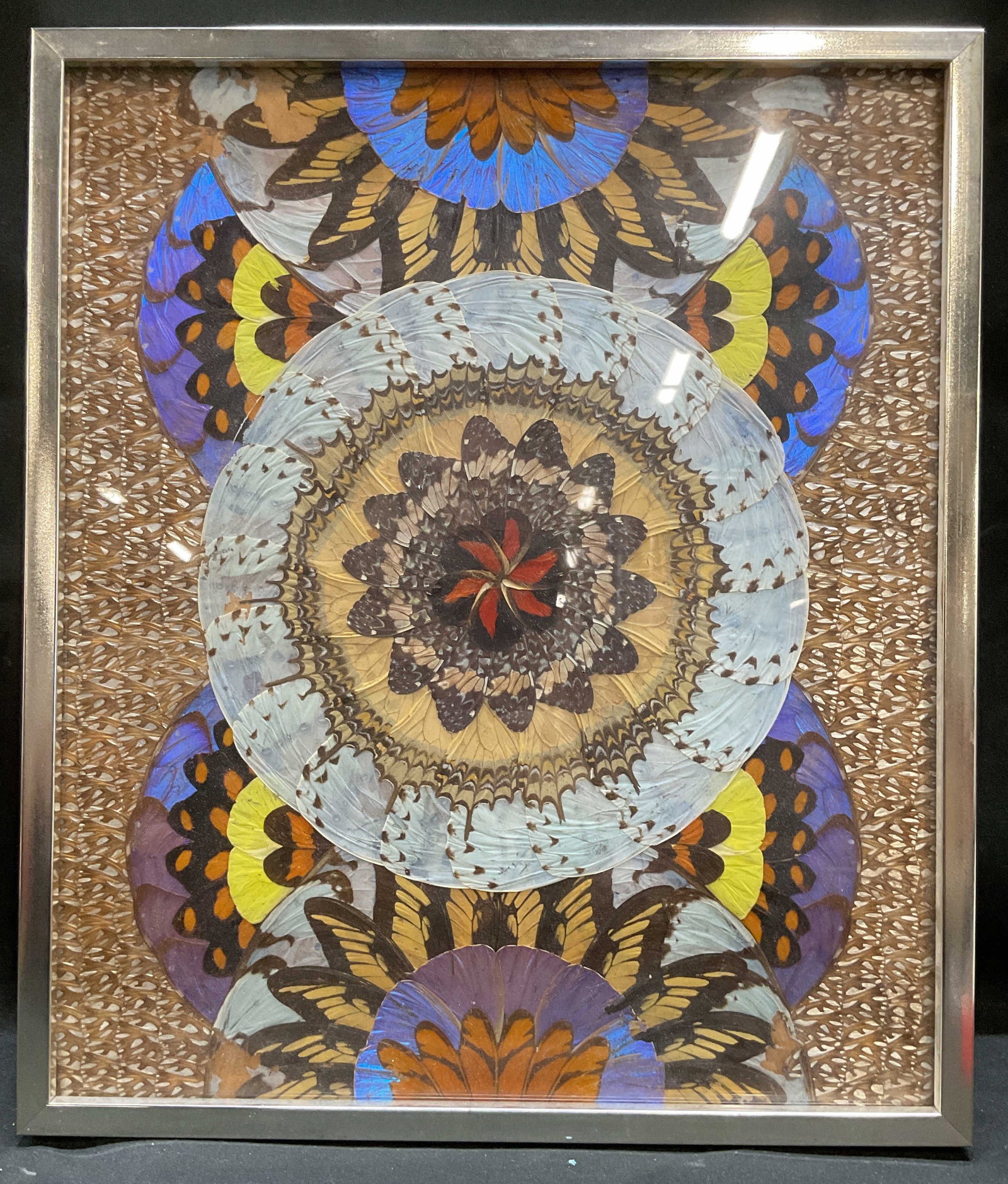 Framed Geometric Butterfly Wing Collage (1 of 6)