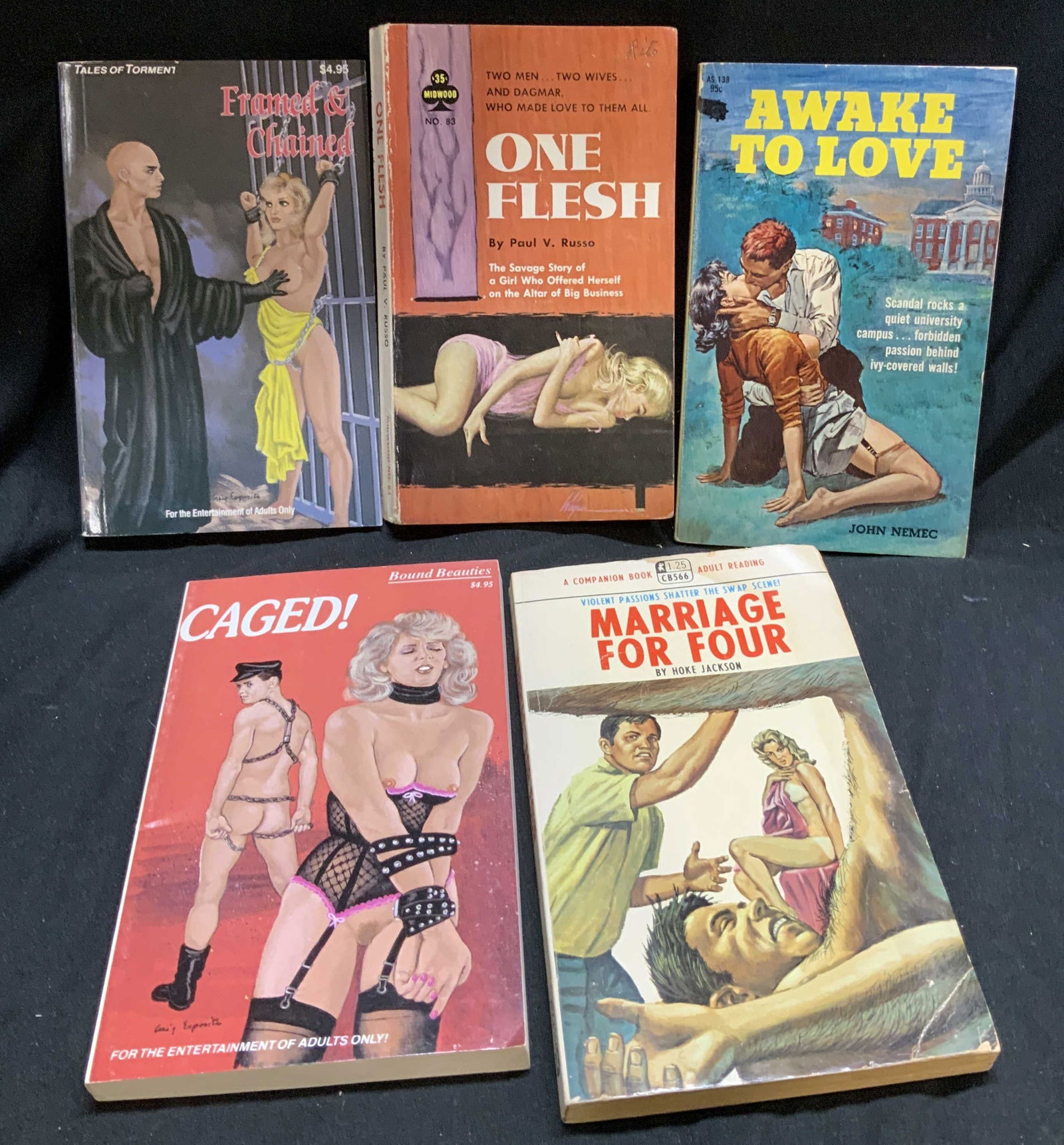 Lot 5 Pulp Fiction Erotica Books 1960-1990s RUSSO+ (1 of 13)