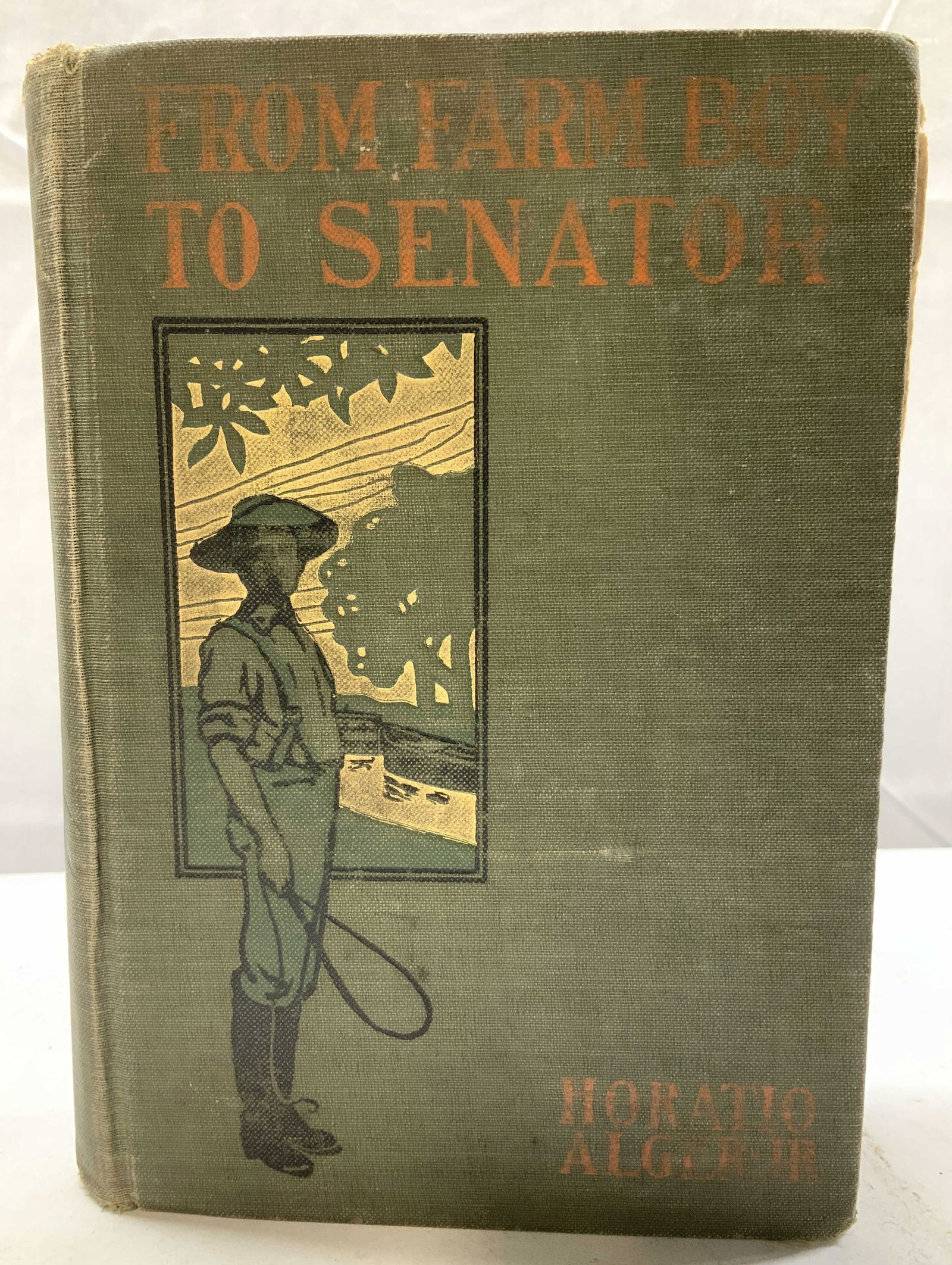 Antq 1882 From Farm Boy to Senator Book ALGER+ (1 of 8)