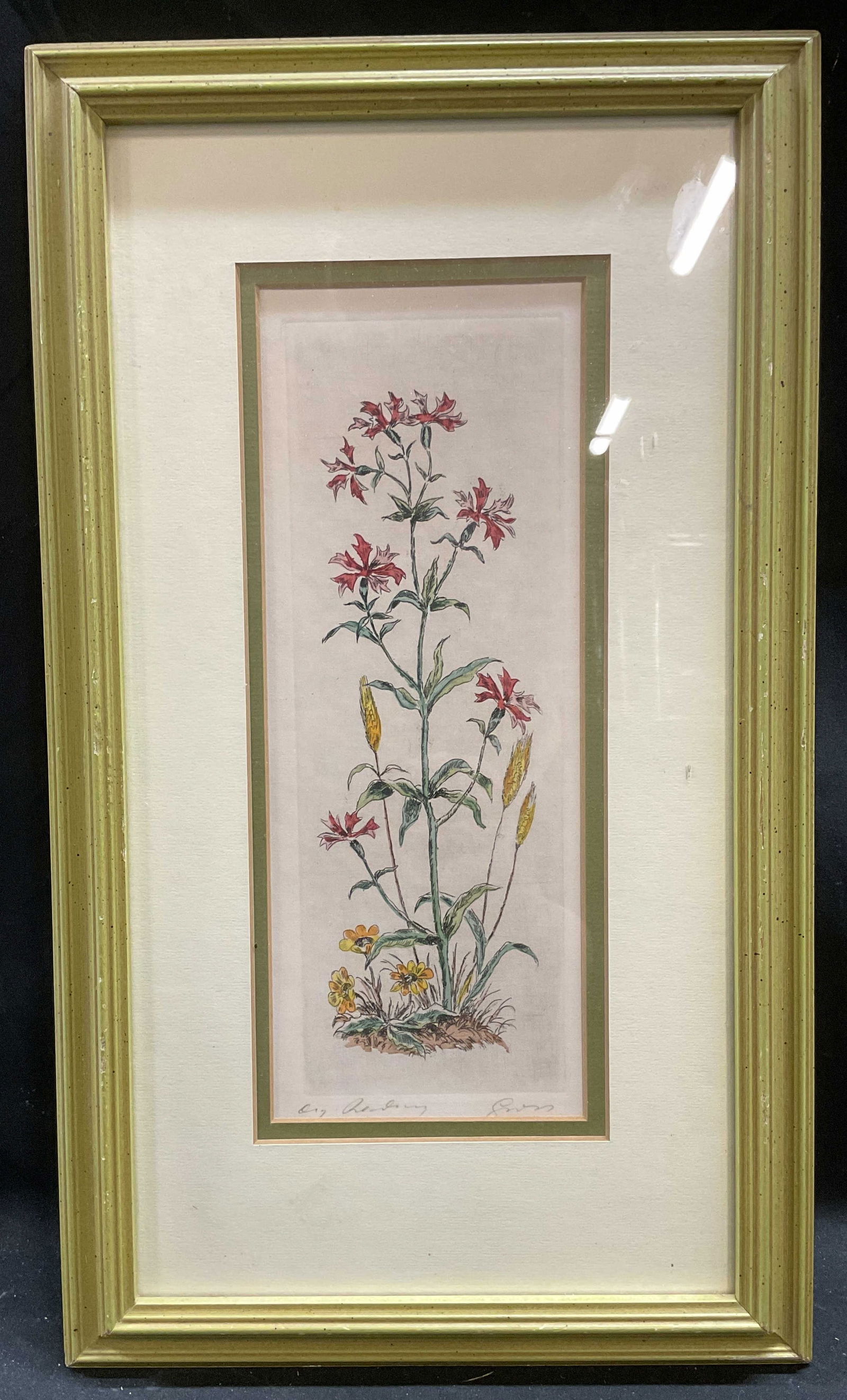 Framed Signed Botanical Hand Colored Etching (1 of 6)