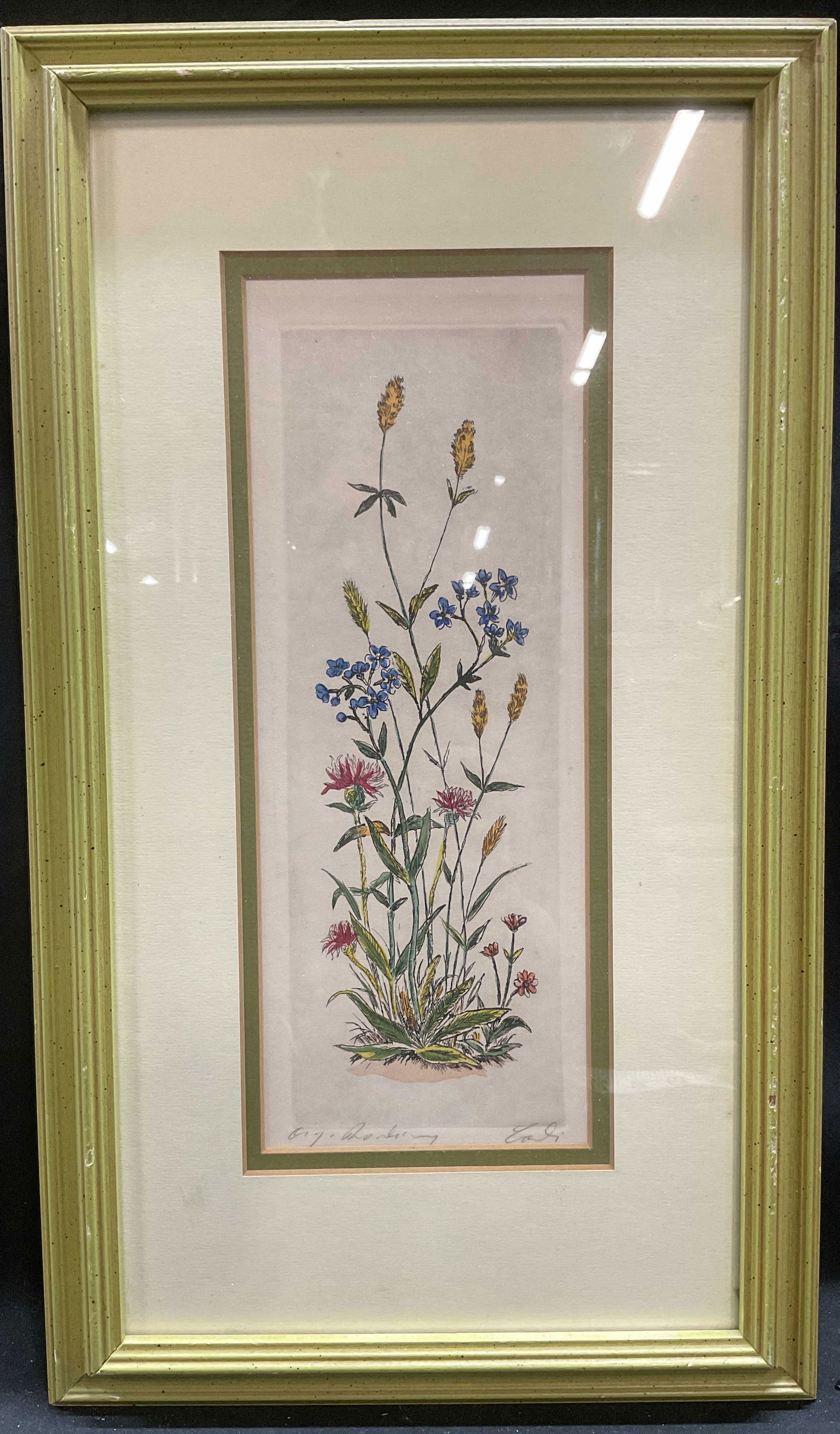 Framed Signed Botanical Hand Colored Etching (1 of 6)