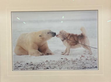 Framed Signed Mangelson Polar Kiss Litho