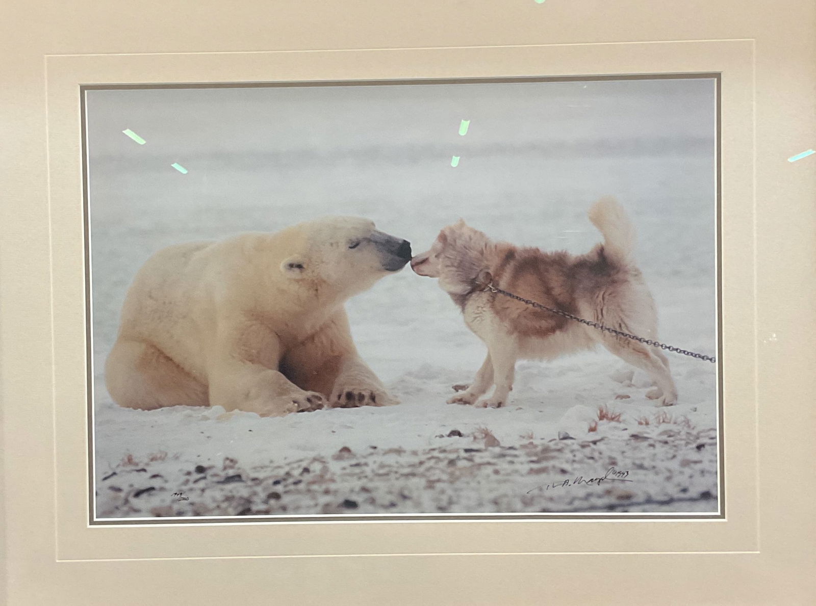 Framed Signed Mangelson Polar Kiss Litho (1 of 7)