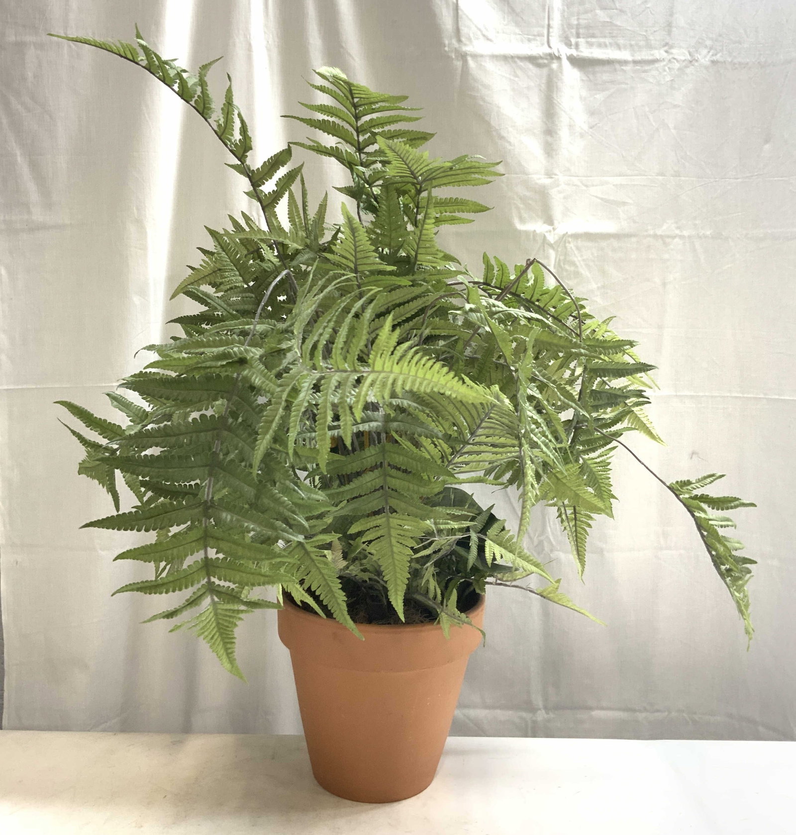 Terra Cotta Planter W Faux Fern Plant: Planter is terra cotta. Lot includes terra cotta planter and faux fern plant affixed inside. Underside marked 399. Planter alone measures approximately 8.25 inches tall 9 inches wide. With plant appro