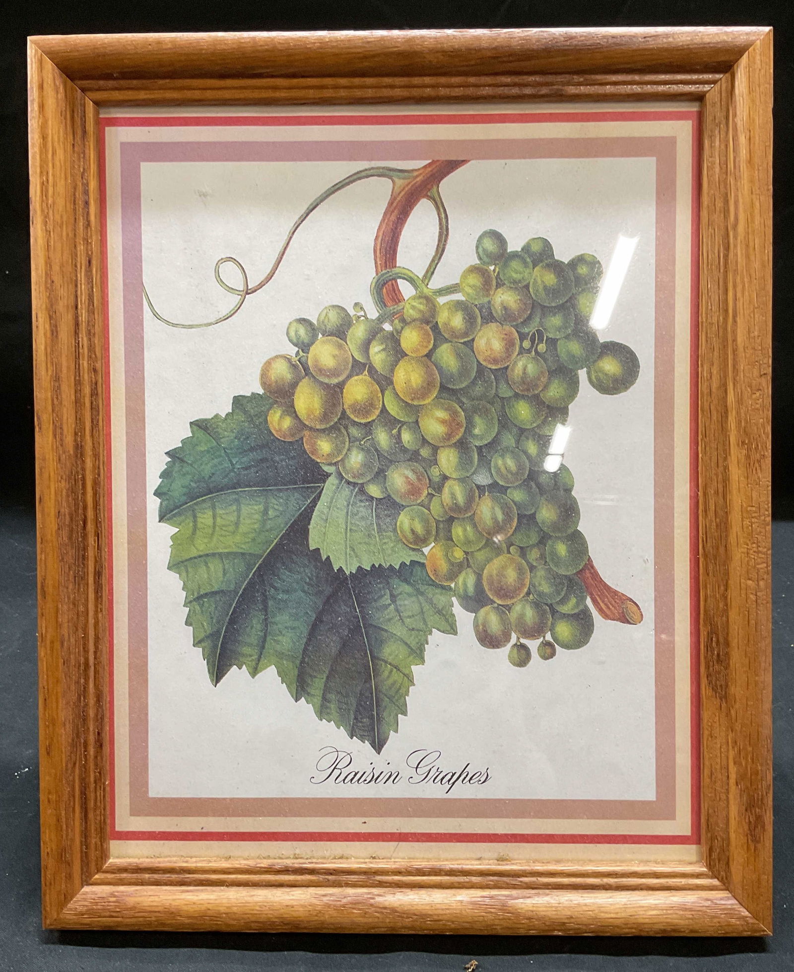 Framed Raisin Grapes Color Lithograph (1 of 6)