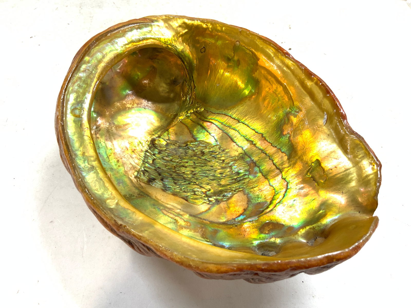 Vtg Abalone Shell Smudge Pot Dish W Resin Feet (1 of 8)