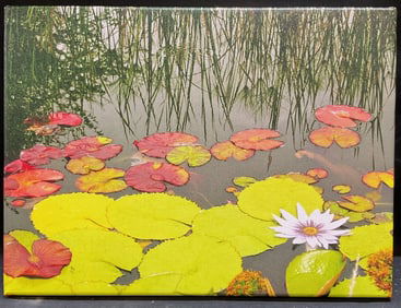 Landscape Lily Pads Fine Art Canvas Print