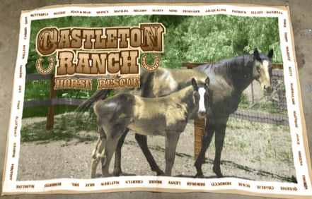 Castleton Ranch Horse Rescue Printed Poly Blanket