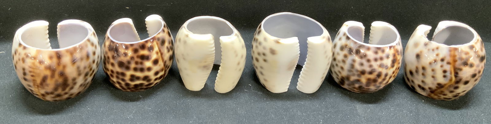 Lot 6 Cowrie Sea Shell Napkin Holder Rings (1 of 6)