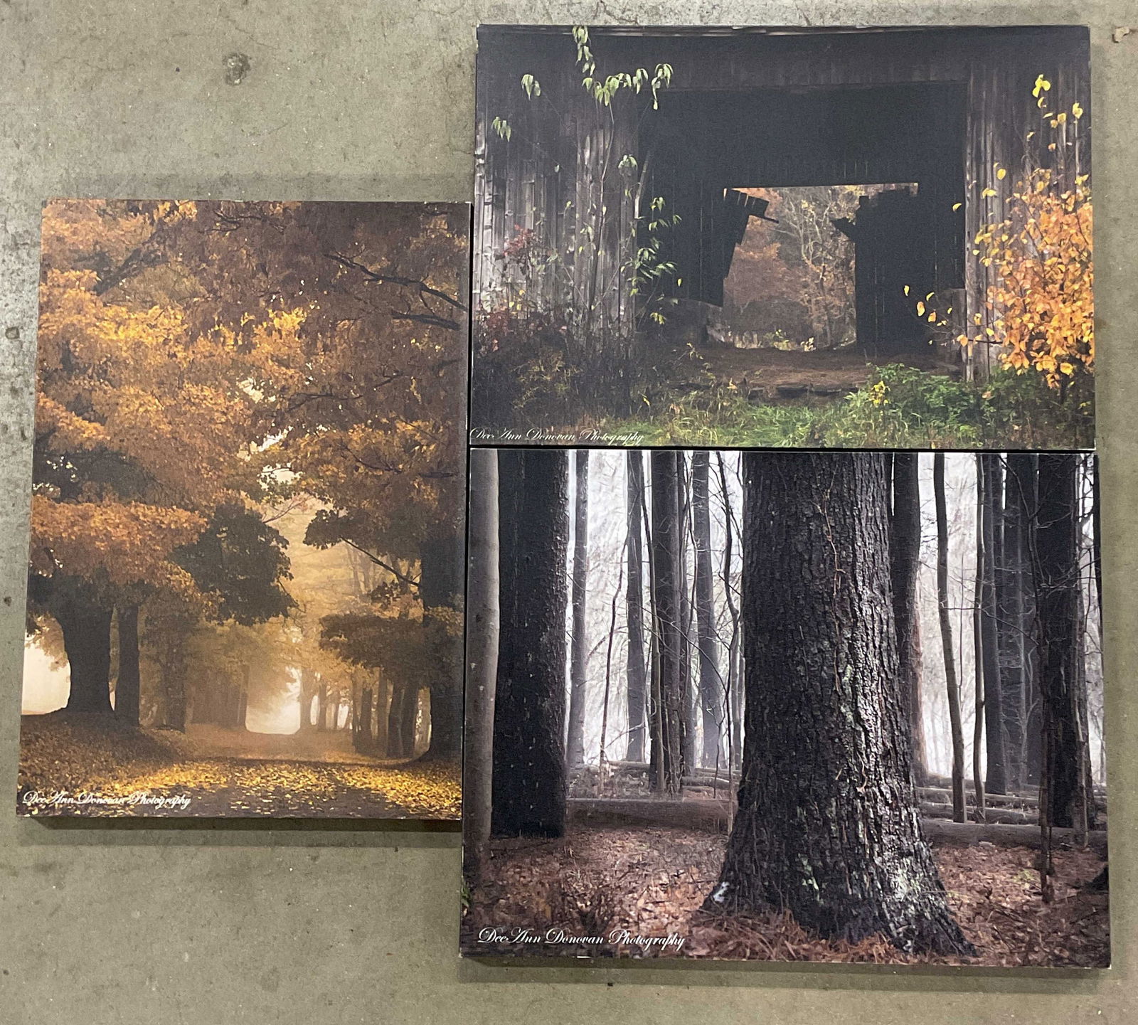 Lot 3 Donovan Photography Canvas Prints, Landscape (1 of 6)