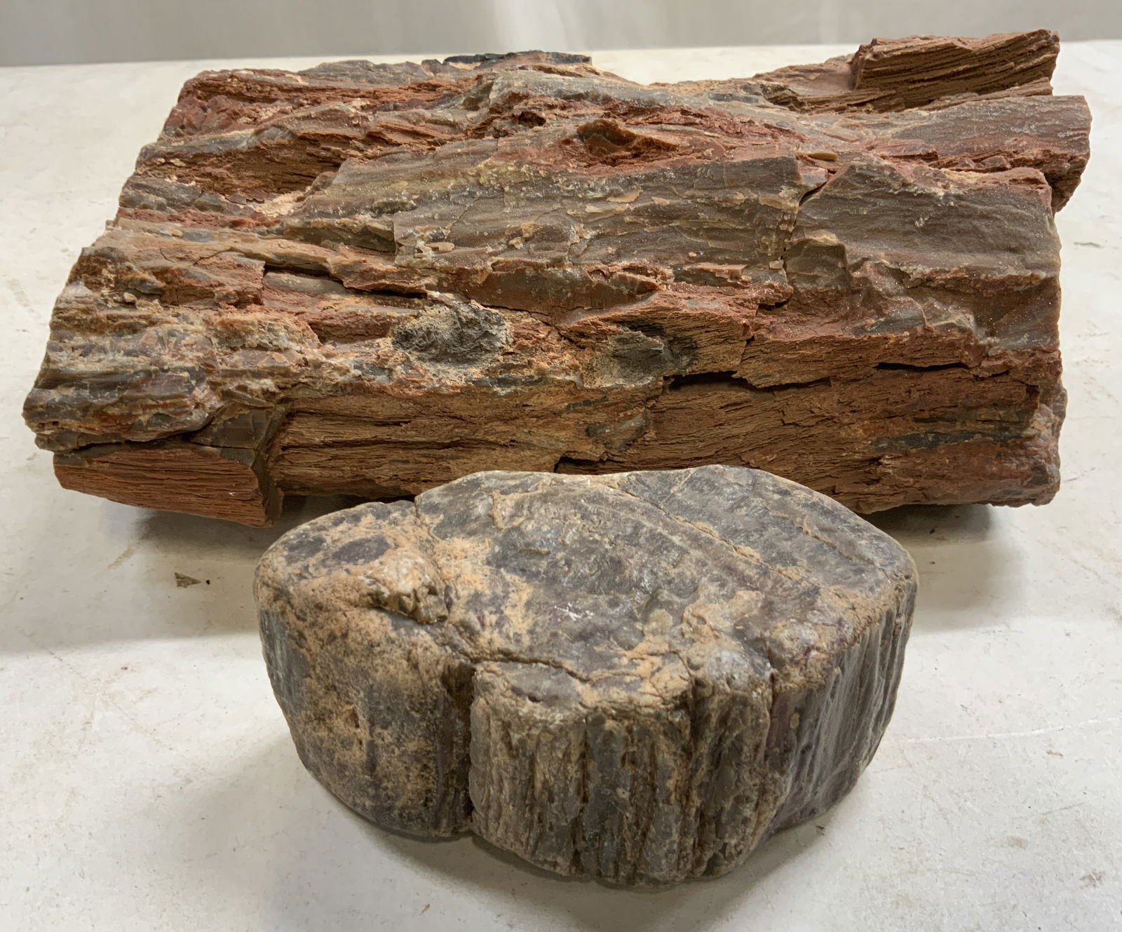 Lot 2 Petrified Wood Specimen Pieces (1 of 6)
