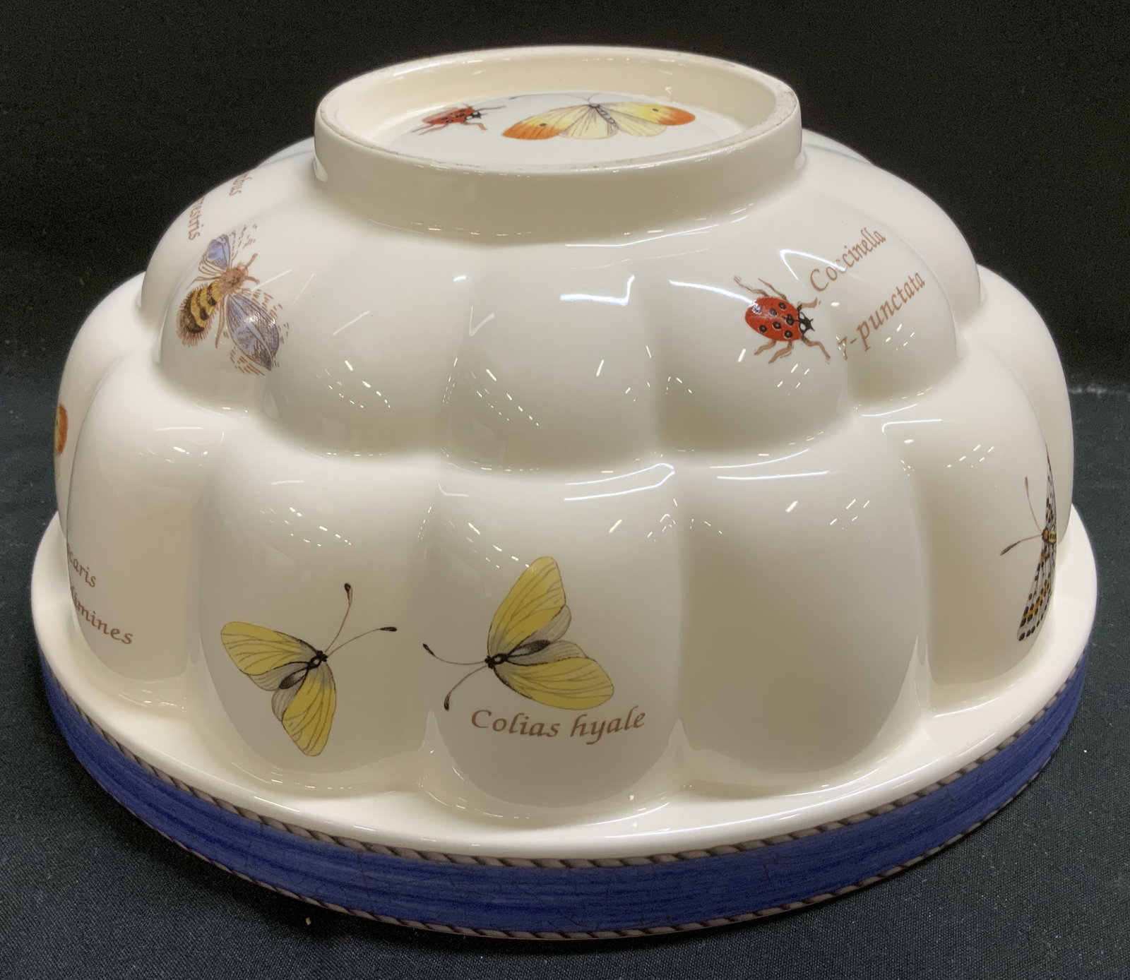 Wedgwood Sarahs Garden Jello Mold ENGLAND: Wedgwood Sarahs Garden Jello Mold ENGLAND Jello mold is part of Sarahs Garden collection by Wedgwood & features illustrations of butterflies and insects (including a ladybug, bee, and butterflies with