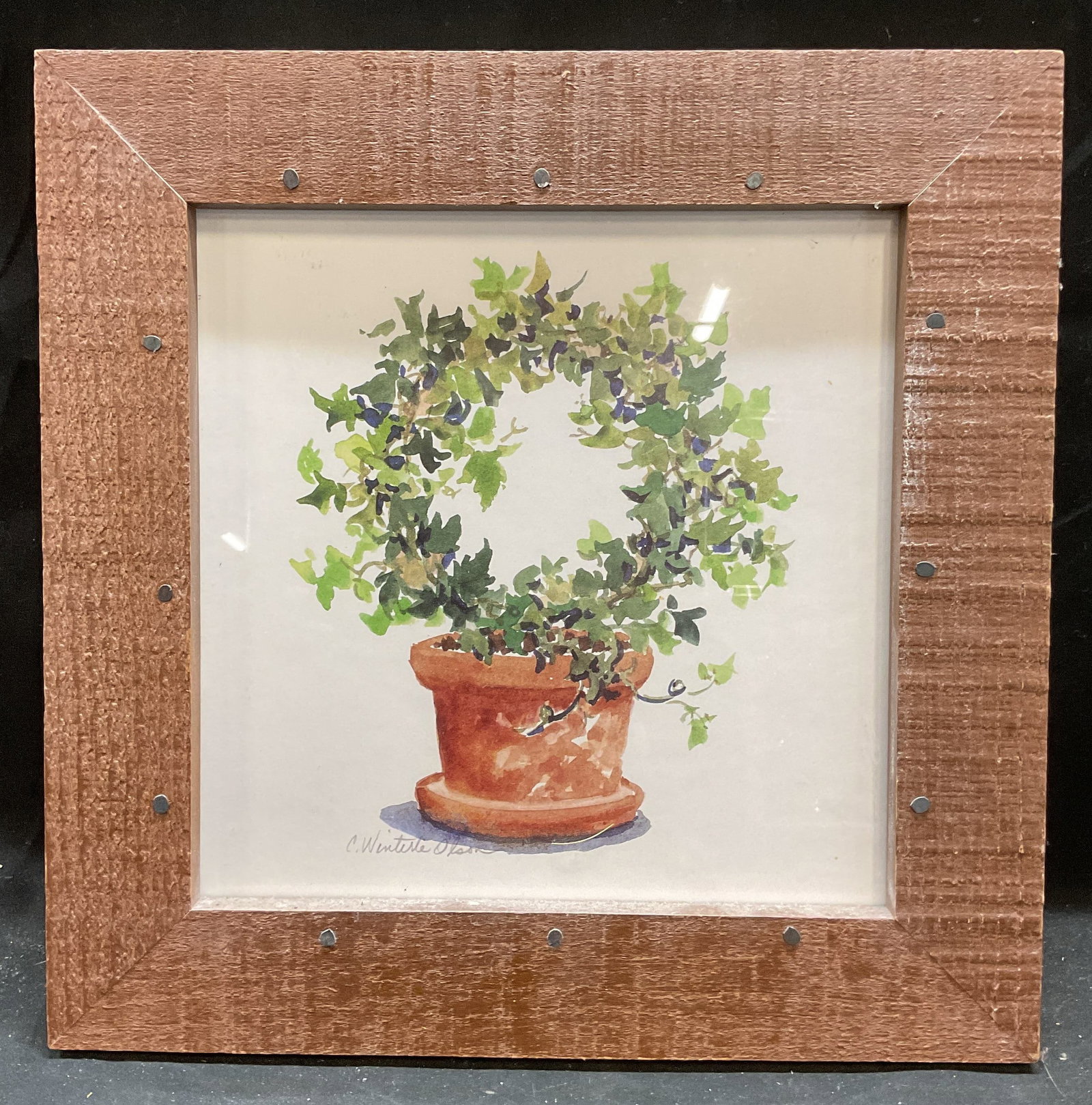 Framed C Winterle Olson Botanical Lithograph (1 of 6)