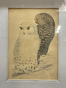Framed Two Owls Lithograph