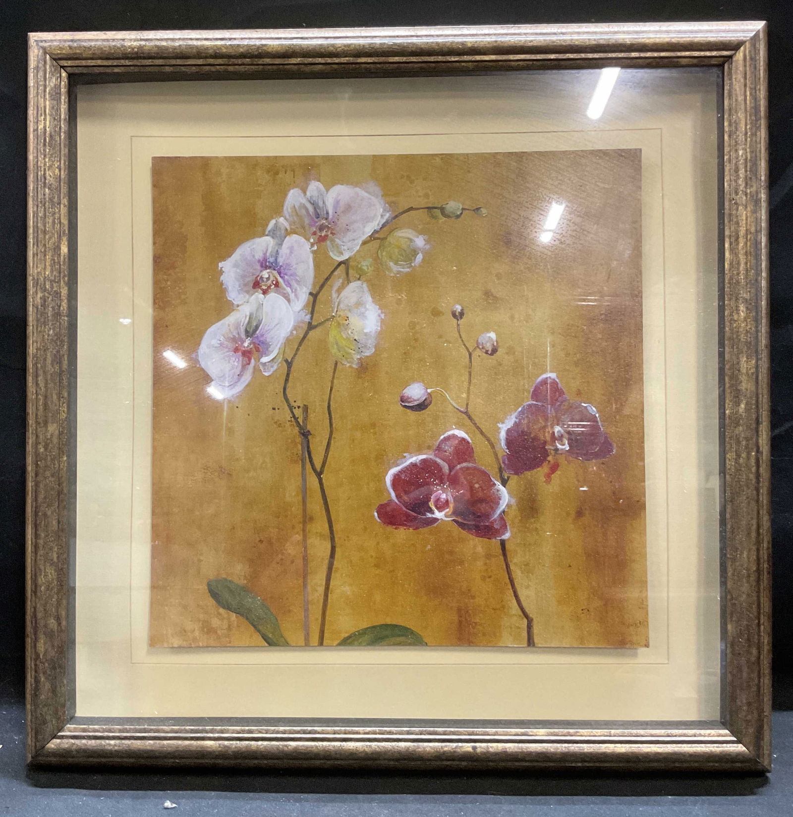 Framed Orchid Flowers Lithograph (1 of 6)