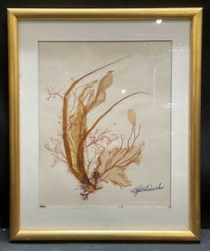 Signed F J Saltalamacchia Seaweed Collage