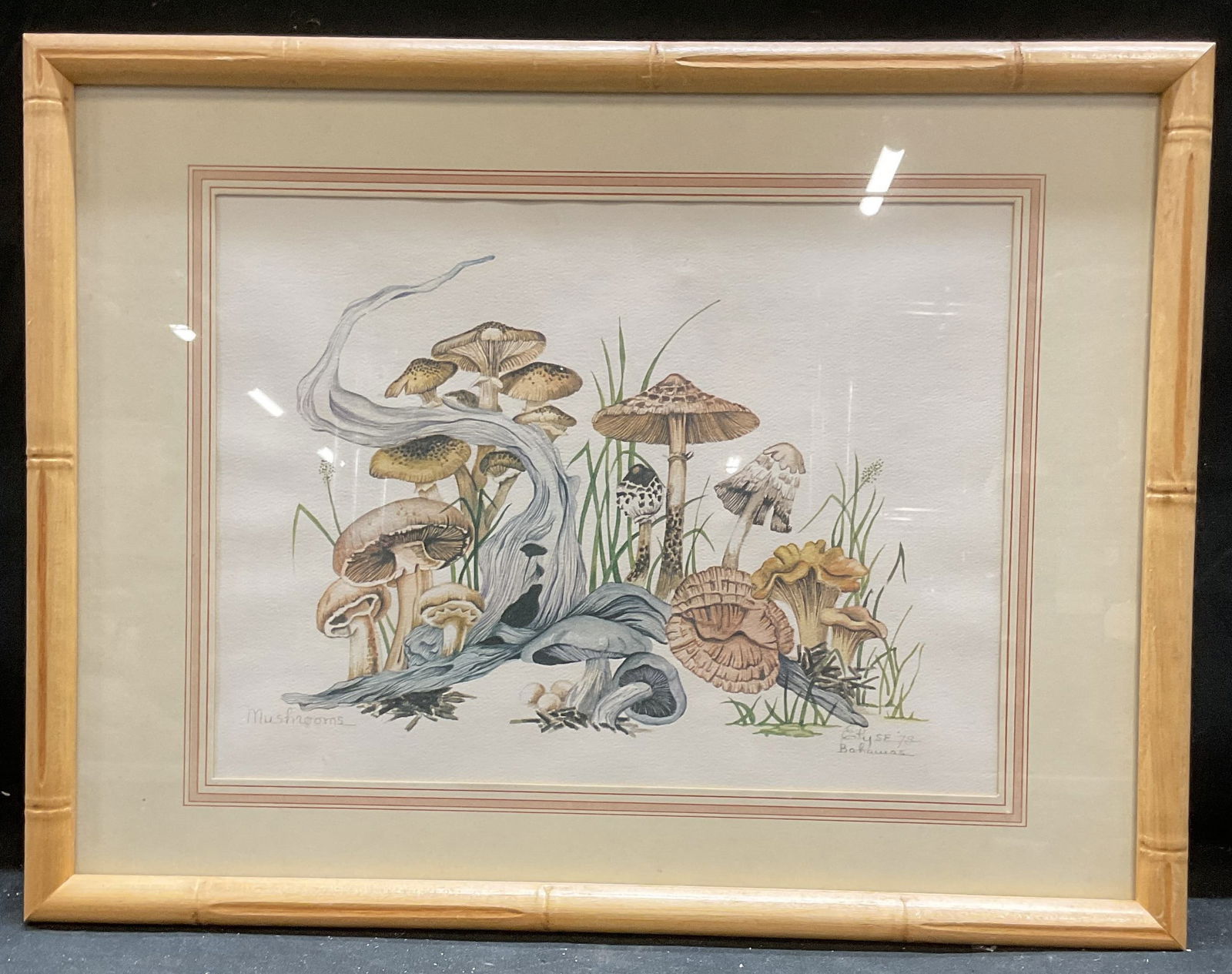 Framed Elyse Wasile Mushrooms Lithograph (1 of 6)