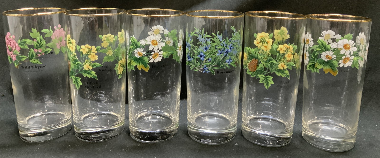Set 6 Vntg Botanical Herb Highball Glasses: Set 6 of highball clear glasses each decorated with colorful botanical illustrations, Wild Thyme, Black Mustard, Feverfew & Rosemary. Glasses features a gold rim. Surface wear consistent to age, use &