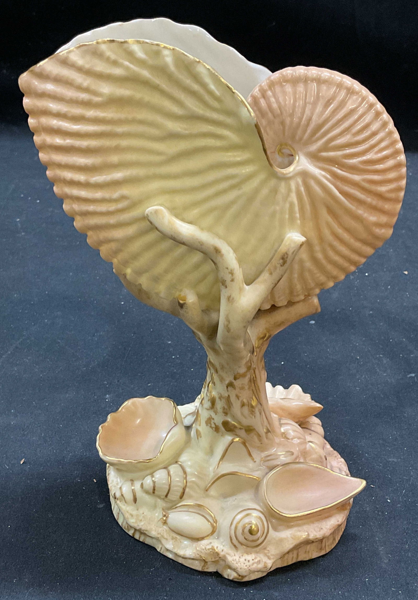 Antq Royal Worcester Porcelain Nautilus Vase (1 of 6)