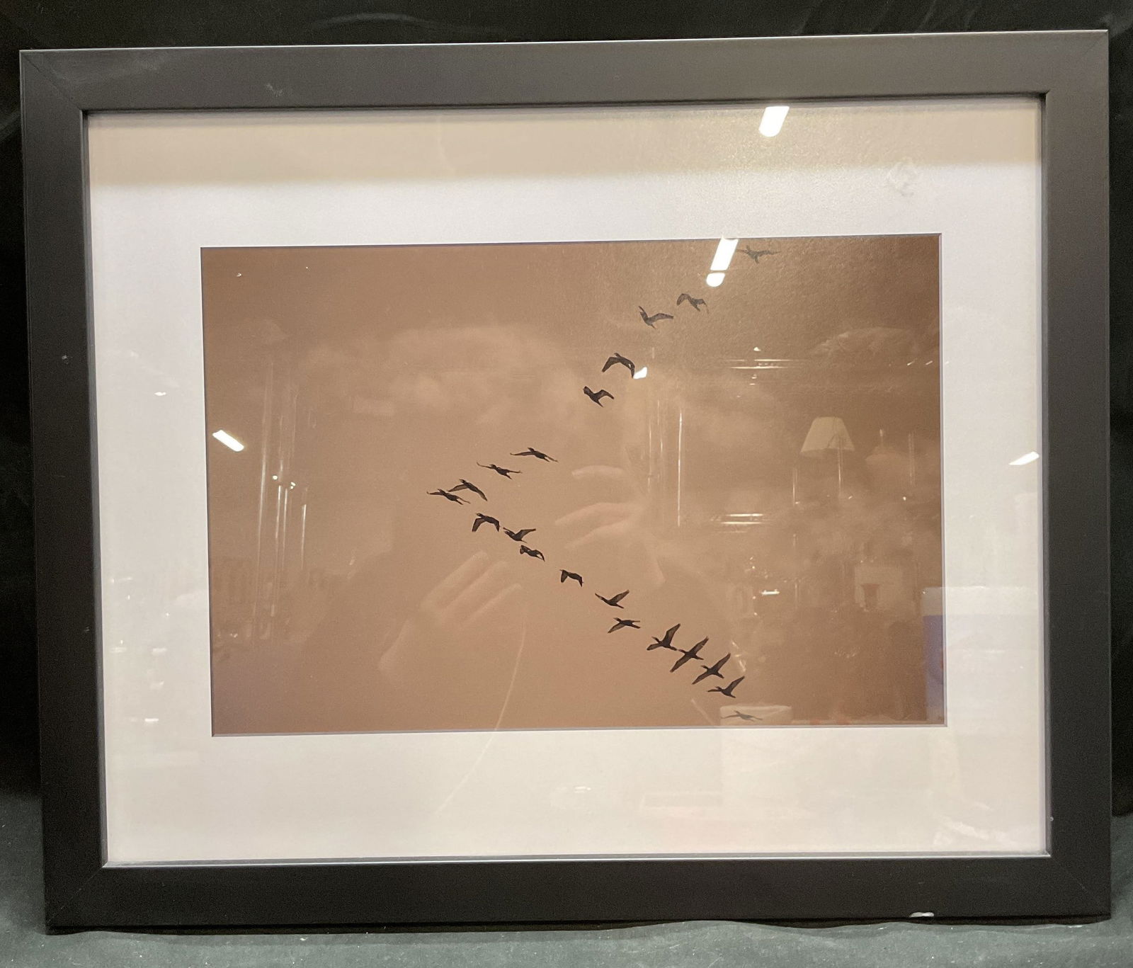 Framed Flying Bird Lithograph (1 of 6)