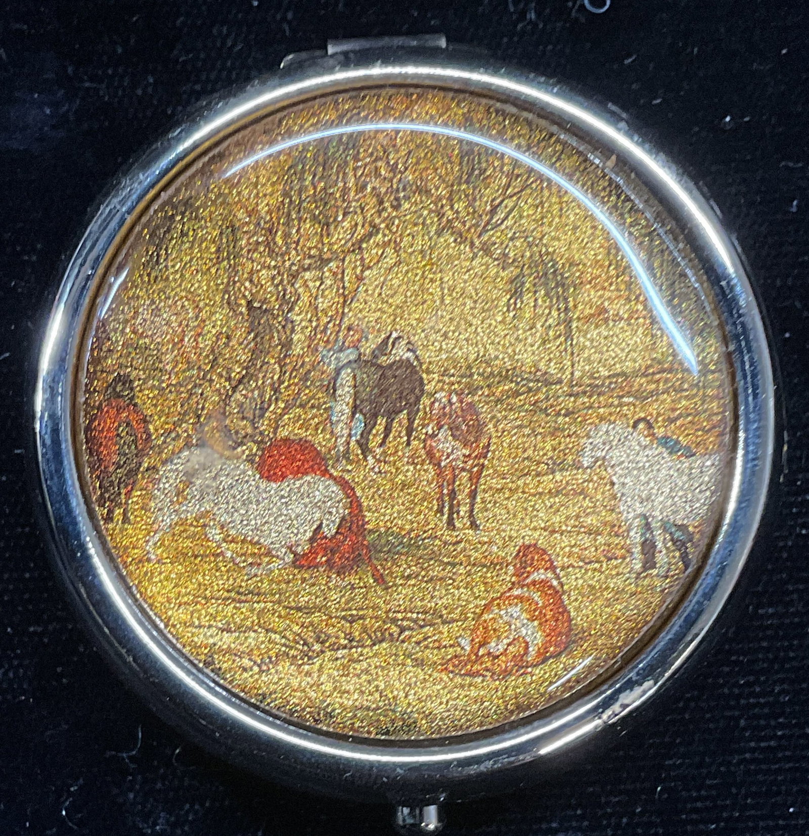 Vintage Gold Tone Animal Pill Trinket Box: Vintage gold tone pill trinket box with fitted compartments interior. Lid with animal scene. Measures approx 1.75 x .75 inches. Some scratching. Pill box, trinket box, gold tone pill box, gold tone tr