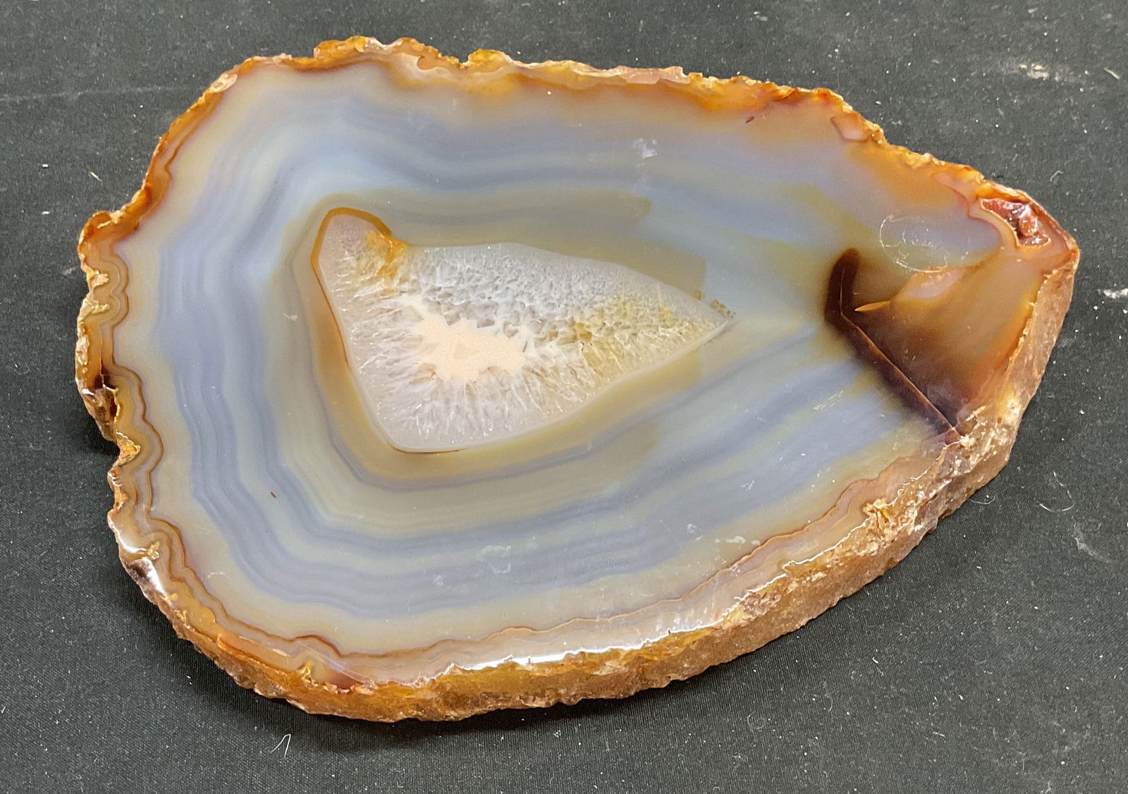 Polished Sliced Agate Semiprecious Specimen (1 of 6)