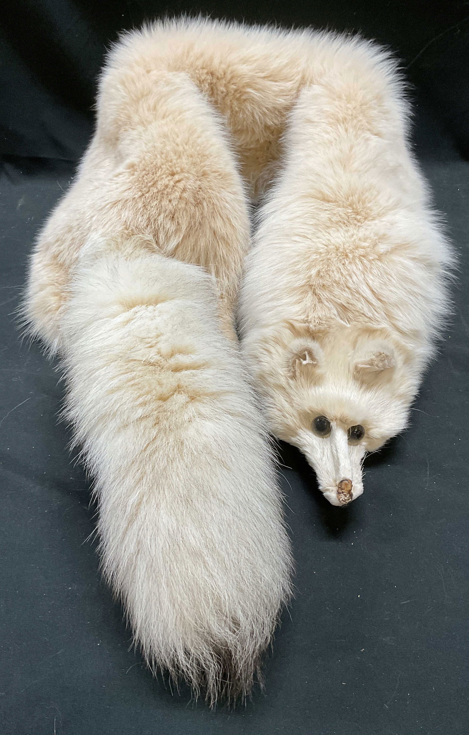 Vintage White Fox Fur Pelt Stole 51in (1 of 6)