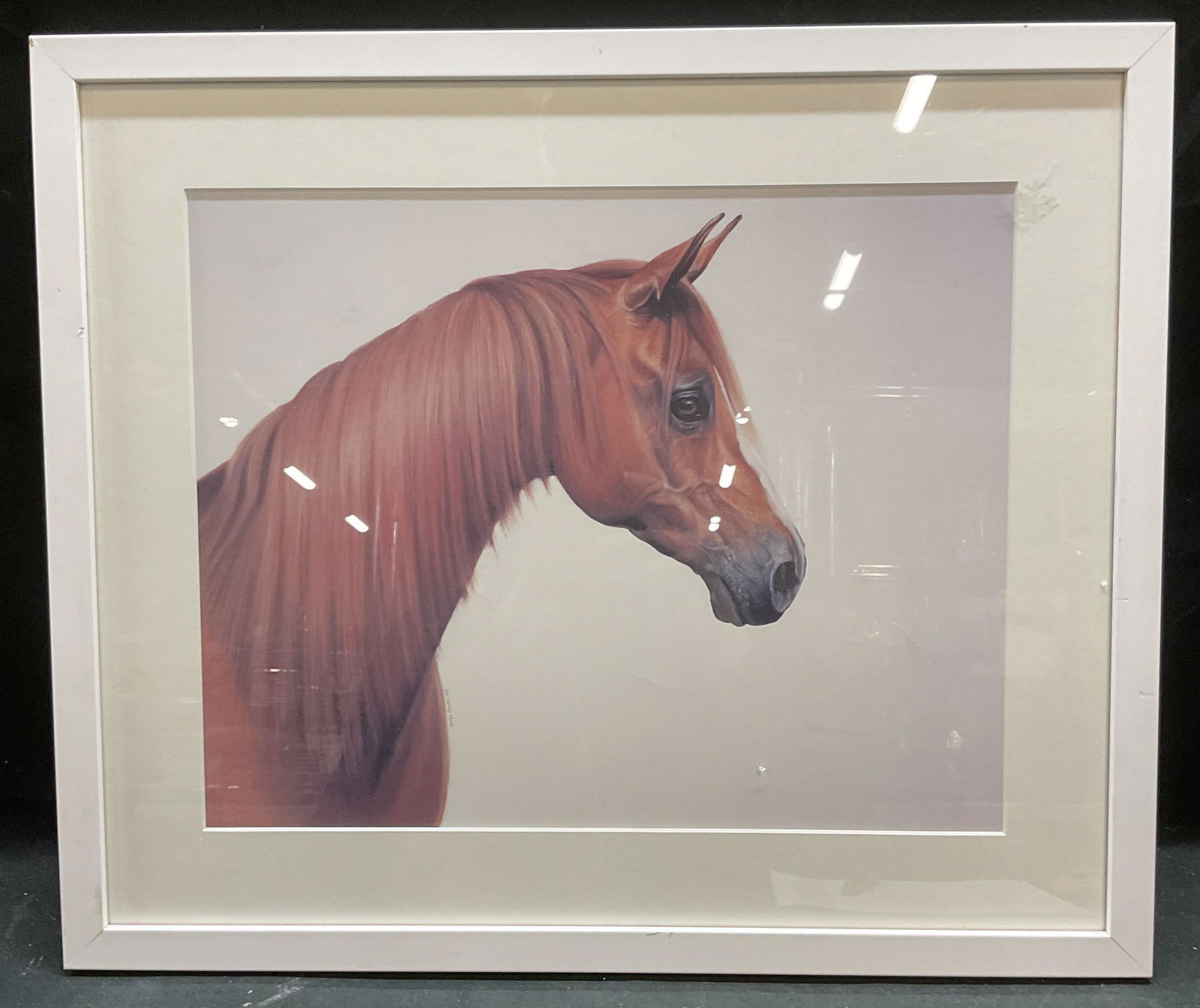Framed Jocelyn Sandor Horse Head Lithograph 1998: Framed lithograph on paper. Signature in print lower left, Jocelyn Sandor 1998. Horse head. White wood frame. Not examined out of frame. Frame measures approx 16.5 x 19.75 inches. Some wear consistent