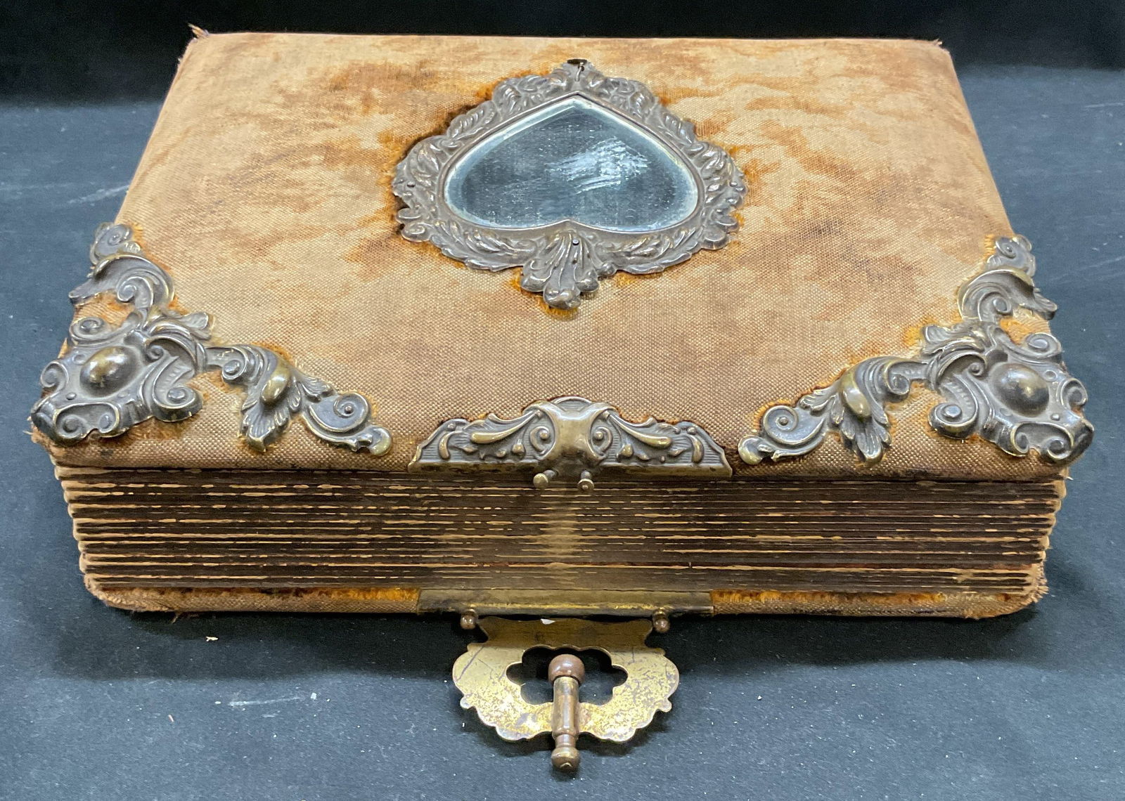 1894 Antique Victorian Photo Album (1 of 8)