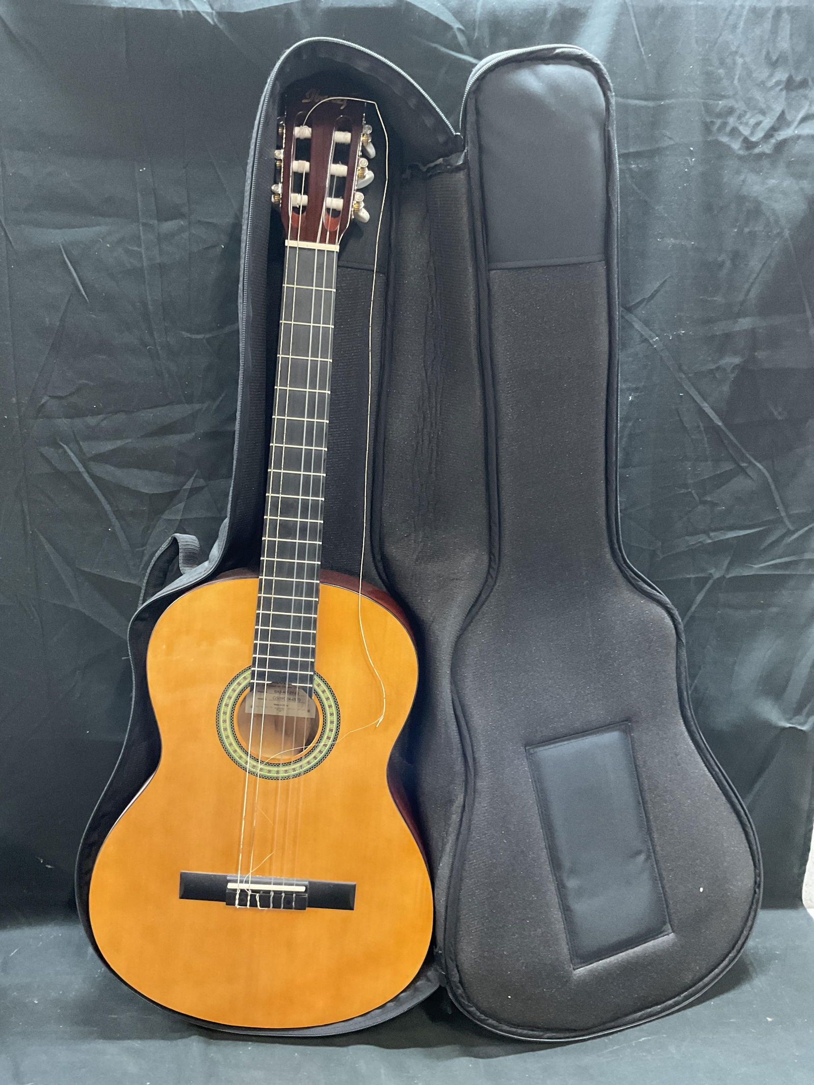Ibanez Acoustic Guitar & Levys Guitar Case (1 of 6)