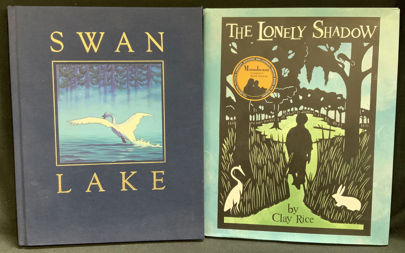 1stEd Lonely Shadow Rice2013 & Swan Lake Helprin1989: Lot includes, The Lonely Shadow by Clay Rice (2013 FIRST EDITION), Swan Lake by Mark Helprin (1989). Books feature illustrations. Surface wear consistent to age, use & exposure. Measurements: length 1