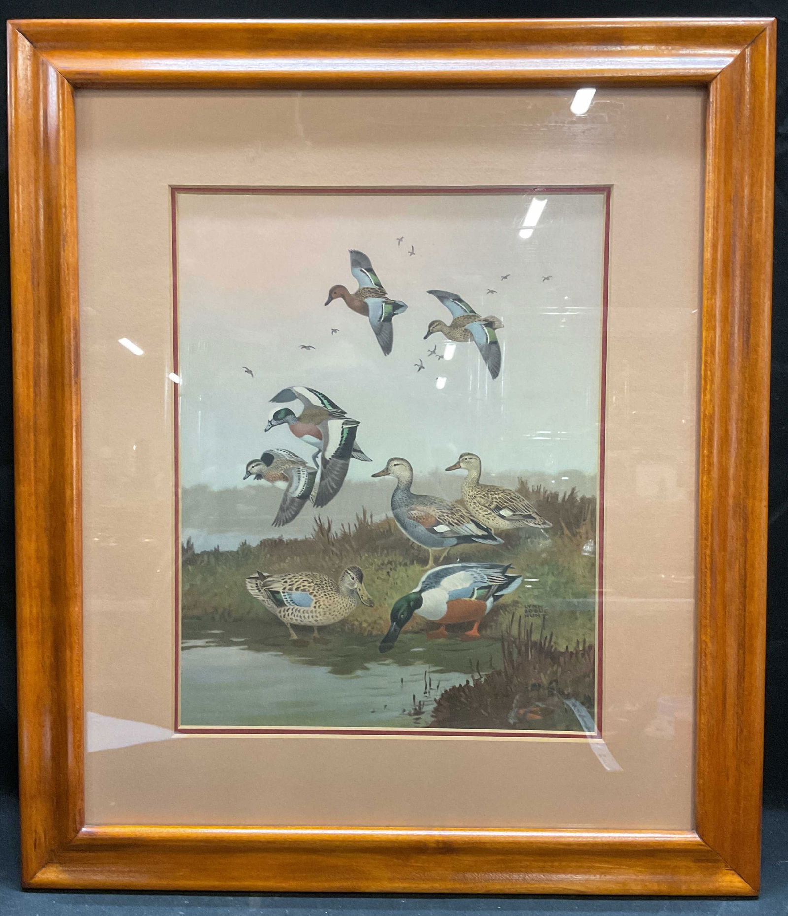 Framed Lynn Bogue Hunt Ducks Lithograph (1 of 6)