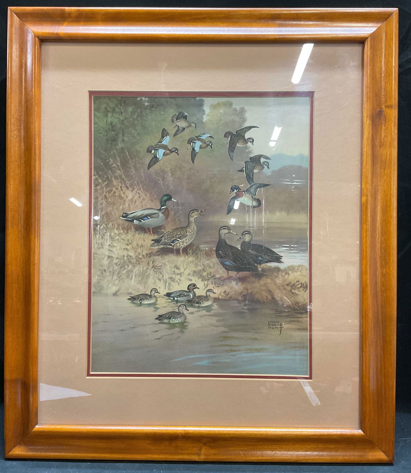 Framed Lynn Bogue Hunt Ducks Lithograph (1 of 6)